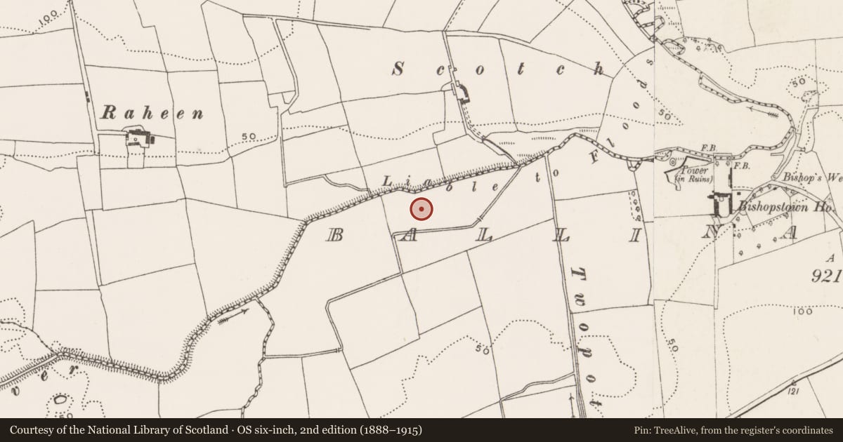 Ordnance Survey six-inch map, 2nd edition (1888–1915) covering the location of Fulacht fia, Ballinaspig More, County Cork, with a pin at the register's coordinates
