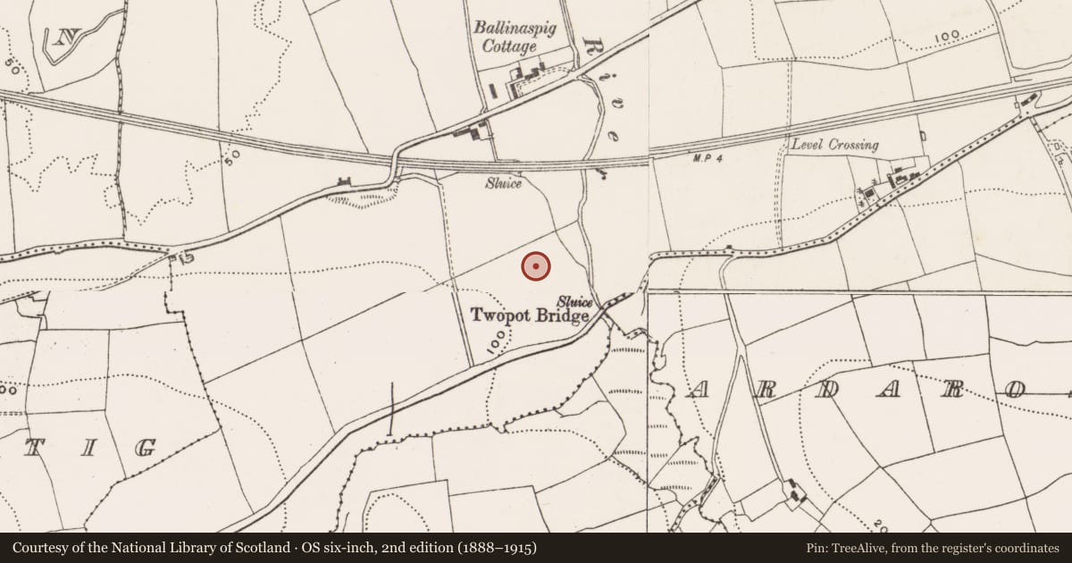 Ordnance Survey six-inch map, 2nd edition (1888–1915) covering the location of Ringfort - rath, Ballinaspig More, County Cork, with a pin at the register's coordinates