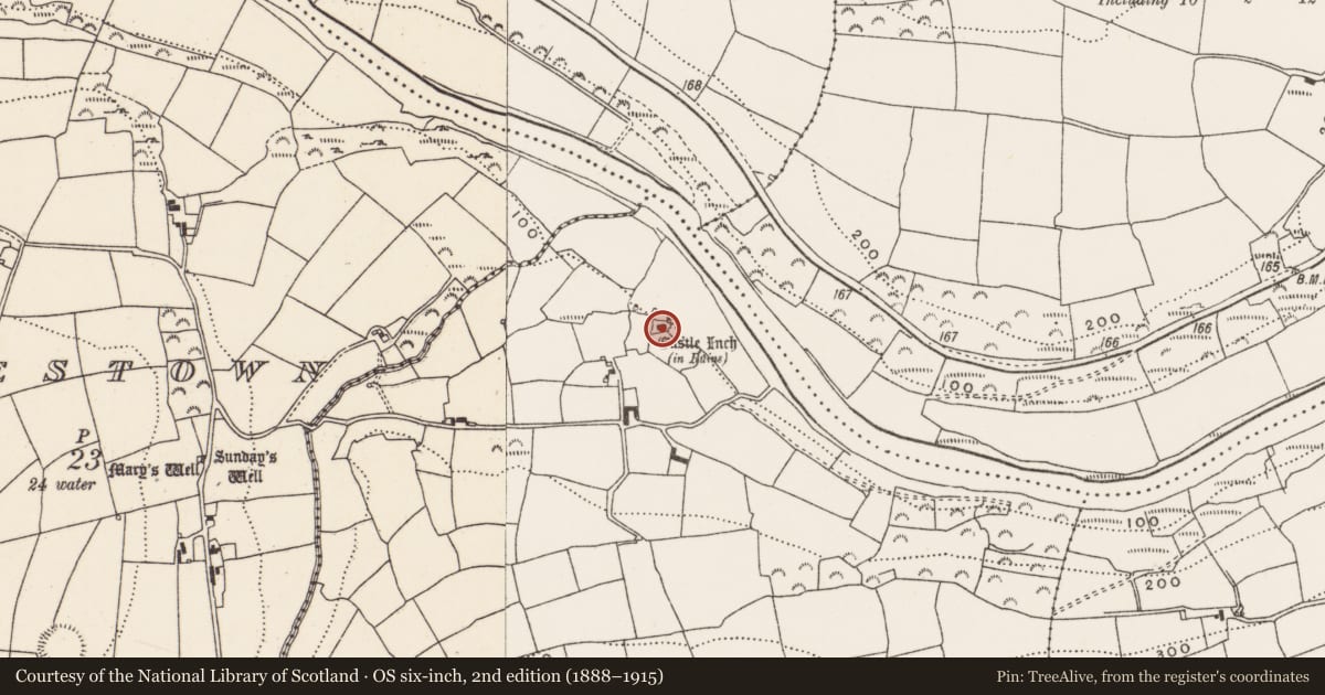 Ordnance Survey six-inch map, 2nd edition (1888–1915) covering the location of Castle - tower house, Castleinch, County Cork, with a pin at the register's coordinates
