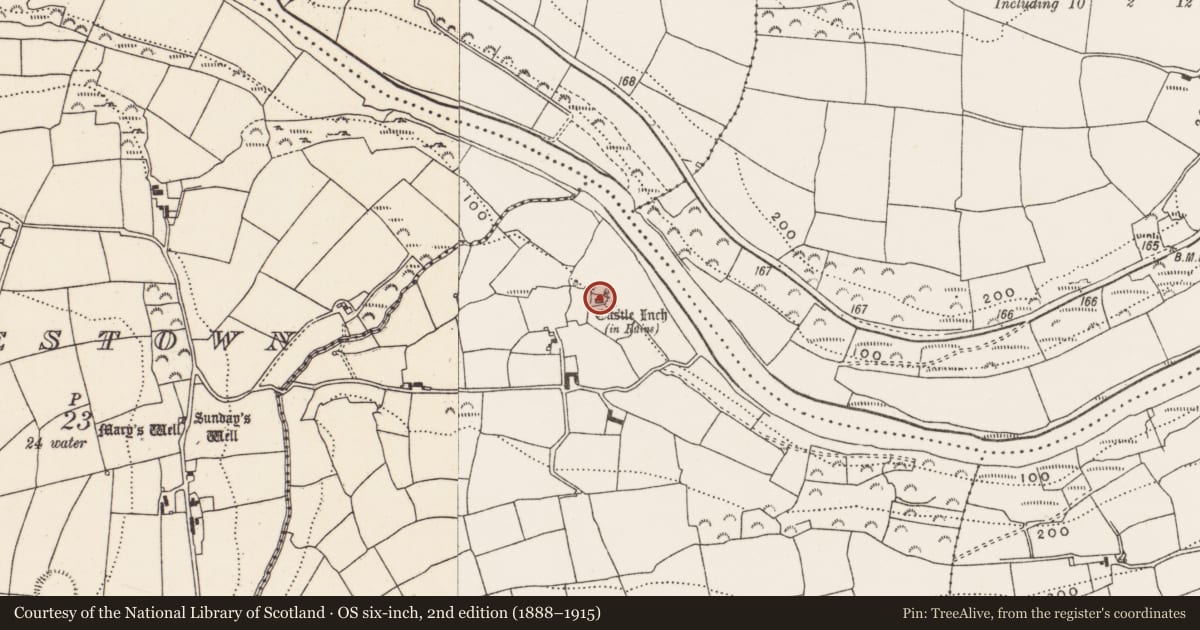 Ordnance Survey six-inch map, 2nd edition (1888–1915) covering the location of Bawn, Castleinch, County Cork, with a pin at the register's coordinates