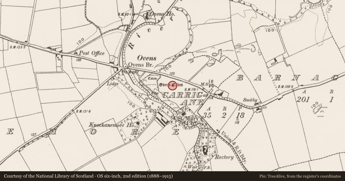 Ordnance Survey six-inch map, 2nd edition (1888–1915) covering the location of Cave, Carrigane, County Cork, with a pin at the register's coordinates