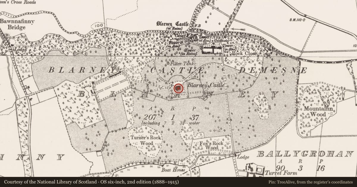 Ordnance Survey six-inch map, 2nd edition (1888–1915) covering the location of Country house, Blarney, County Cork, with a pin at the register's coordinates