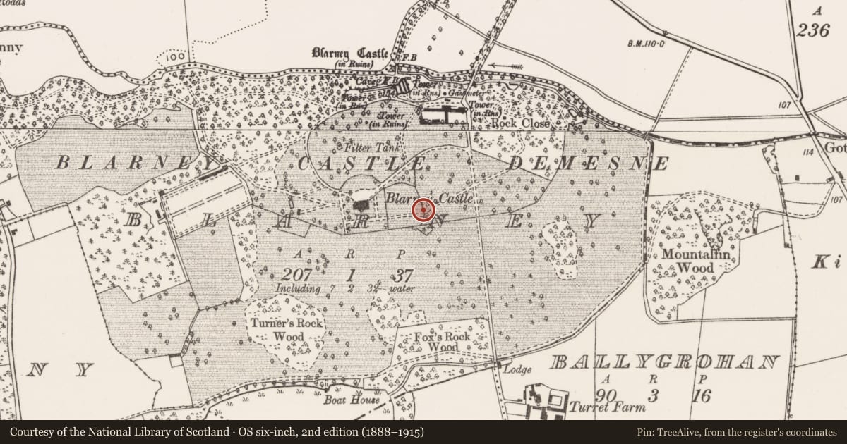 Ordnance Survey six-inch map, 2nd edition (1888–1915) covering the location of Icehouse, Blarney, County Cork, with a pin at the register's coordinates