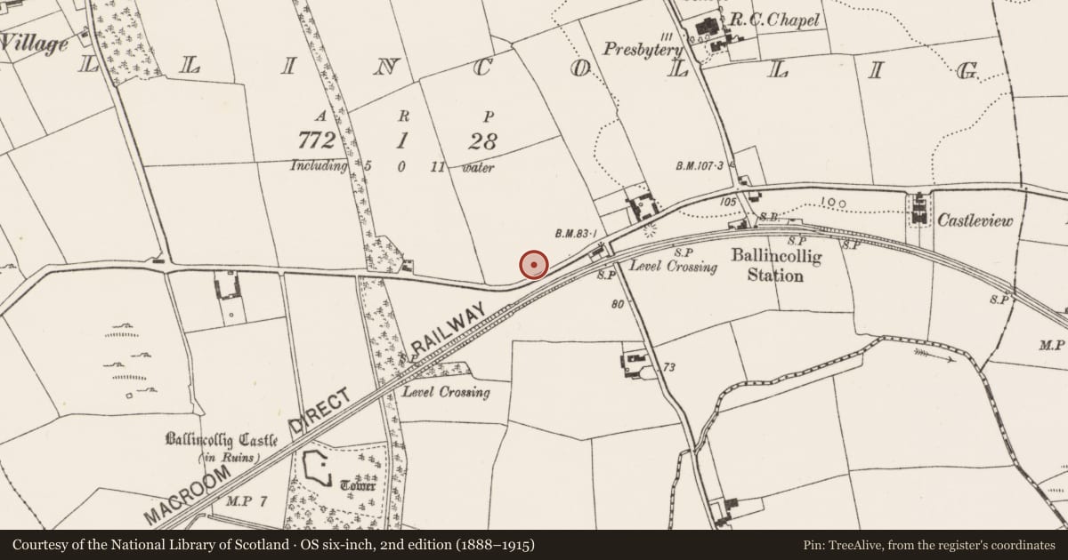 Ordnance Survey six-inch map, 2nd edition (1888–1915) covering the location of Standing stone, Ballincollig (Muskerry East By., Carrigrohane Par.), County Cork, with a pin at the register's coordinates