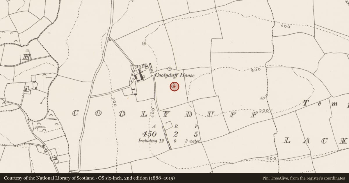 Ordnance Survey six-inch map, 2nd edition (1888–1915) covering the location of Designed landscape - tree-ring, Coolyduff, County Cork, with a pin at the register's coordinates