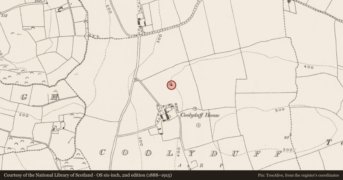 Ordnance Survey six-inch map, 2nd edition (1888–1915) covering the location of Designed landscape - tree-ring, Coolyduff, County Cork, with a pin at the register's coordinates