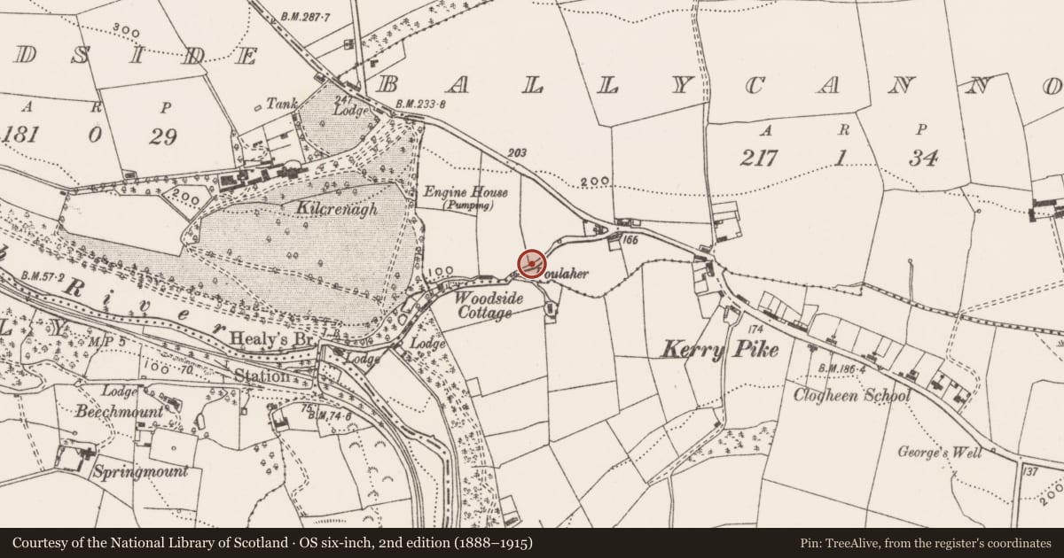Ordnance Survey six-inch map, 2nd edition (1888–1915) covering the location of Ritual site - holy well, Ballycannon, County Cork, with a pin at the register's coordinates