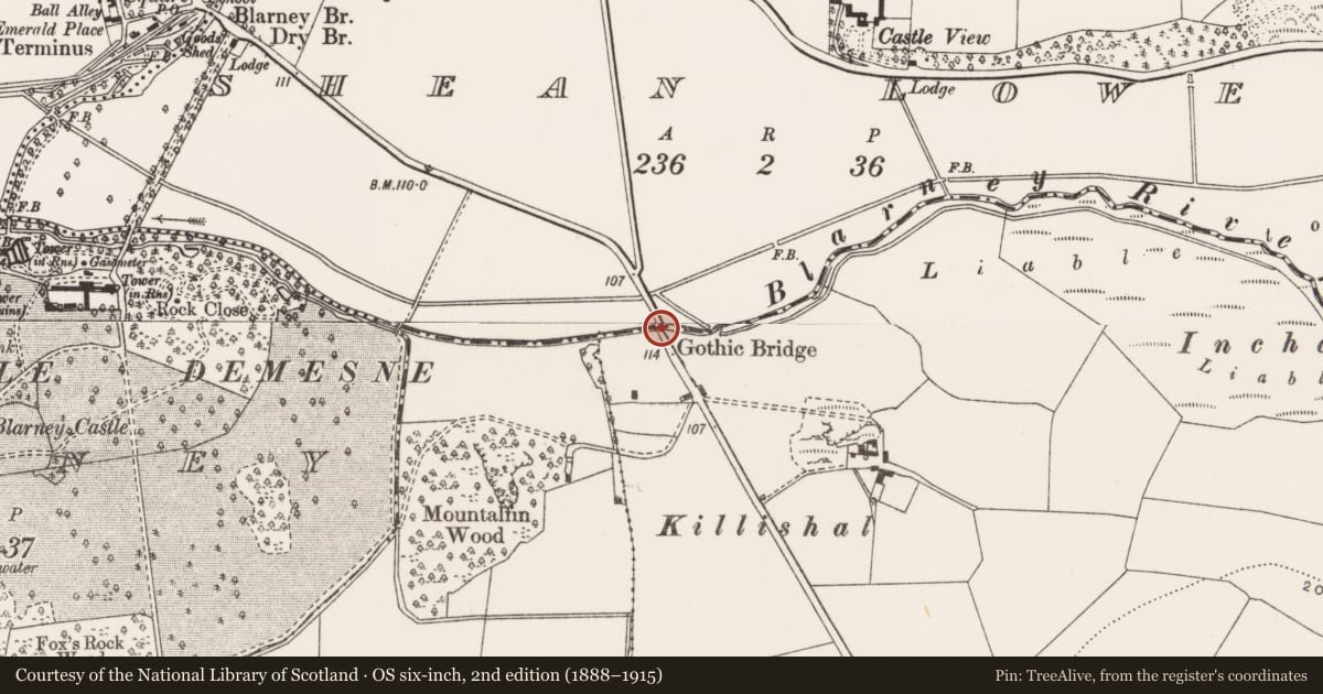 Ordnance Survey six-inch map, 2nd edition (1888–1915) covering the location of Bridge, Killard, County Cork, with a pin at the register's coordinates