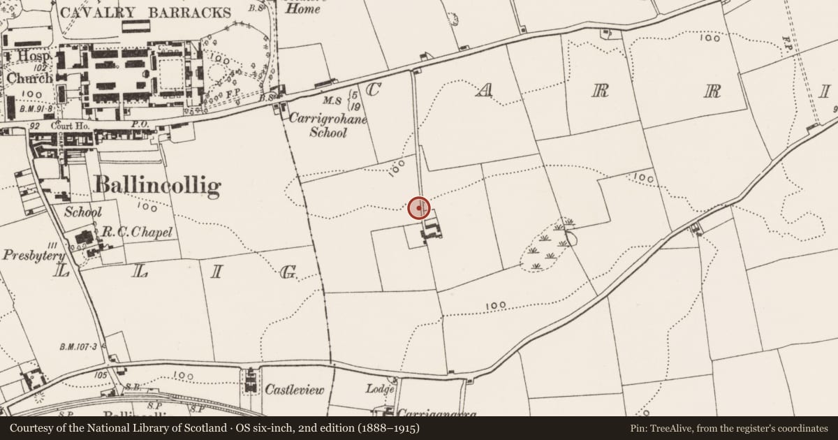Ordnance Survey six-inch map, 2nd edition (1888–1915) covering the location of Souterrain, Carrigrohane, County Cork, with a pin at the register's coordinates