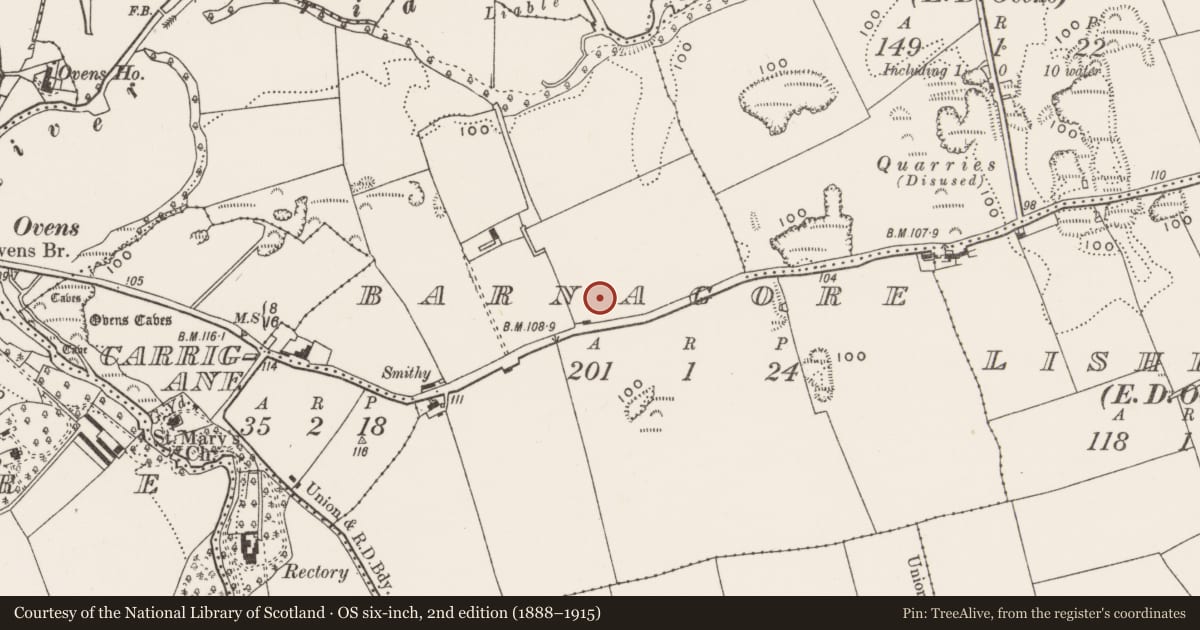 Ordnance Survey six-inch map, 2nd edition (1888–1915) covering the location of Souterrain, Barnagore, County Cork, with a pin at the register's coordinates