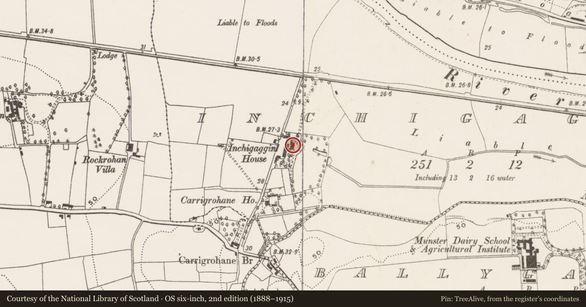 Ordnance Survey six-inch map, 2nd edition (1888–1915) covering the location of Country house, Inchigaggin, County Cork, with a pin at the register's coordinates