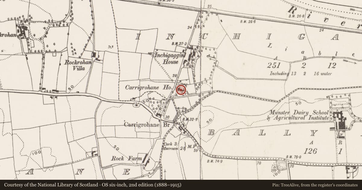 Ordnance Survey six-inch map, 2nd edition (1888–1915) covering the location of Country house, Inchigaggin, County Cork, with a pin at the register's coordinates