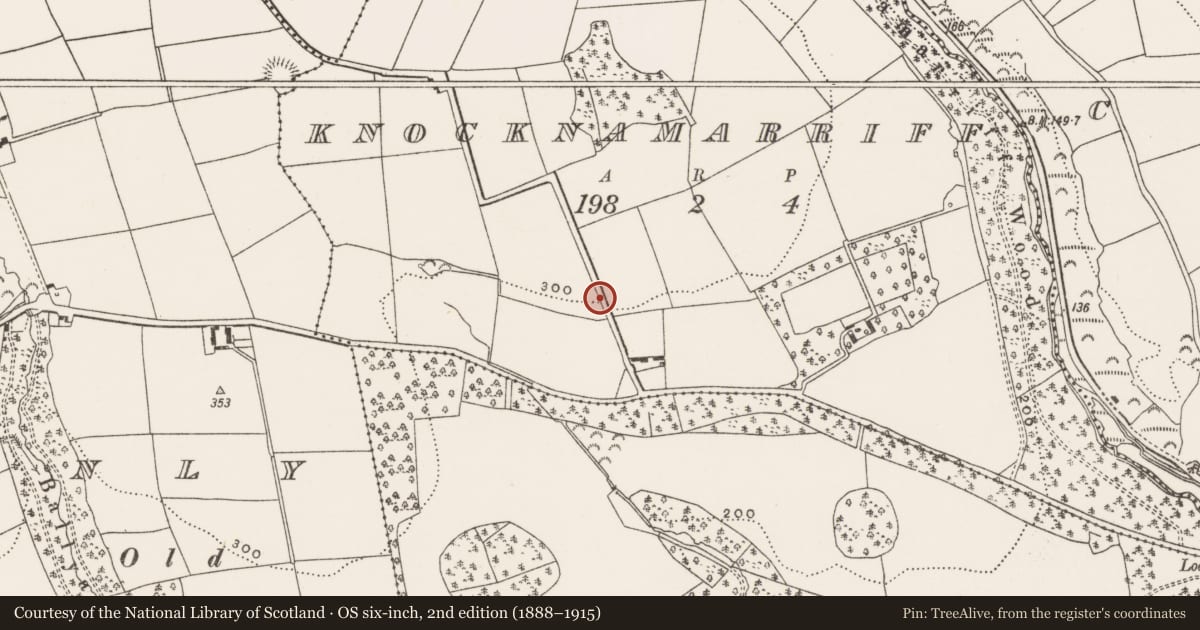 Ordnance Survey six-inch map, 2nd edition (1888–1915) covering the location of Fulacht fia, Knocknamarriff, County Cork, with a pin at the register's coordinates