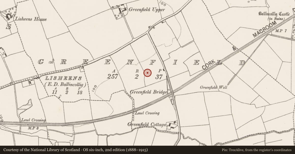 Ordnance Survey six-inch map, 2nd edition (1888–1915) covering the location of Fulacht fia, Greenfield, County Cork, with a pin at the register's coordinates