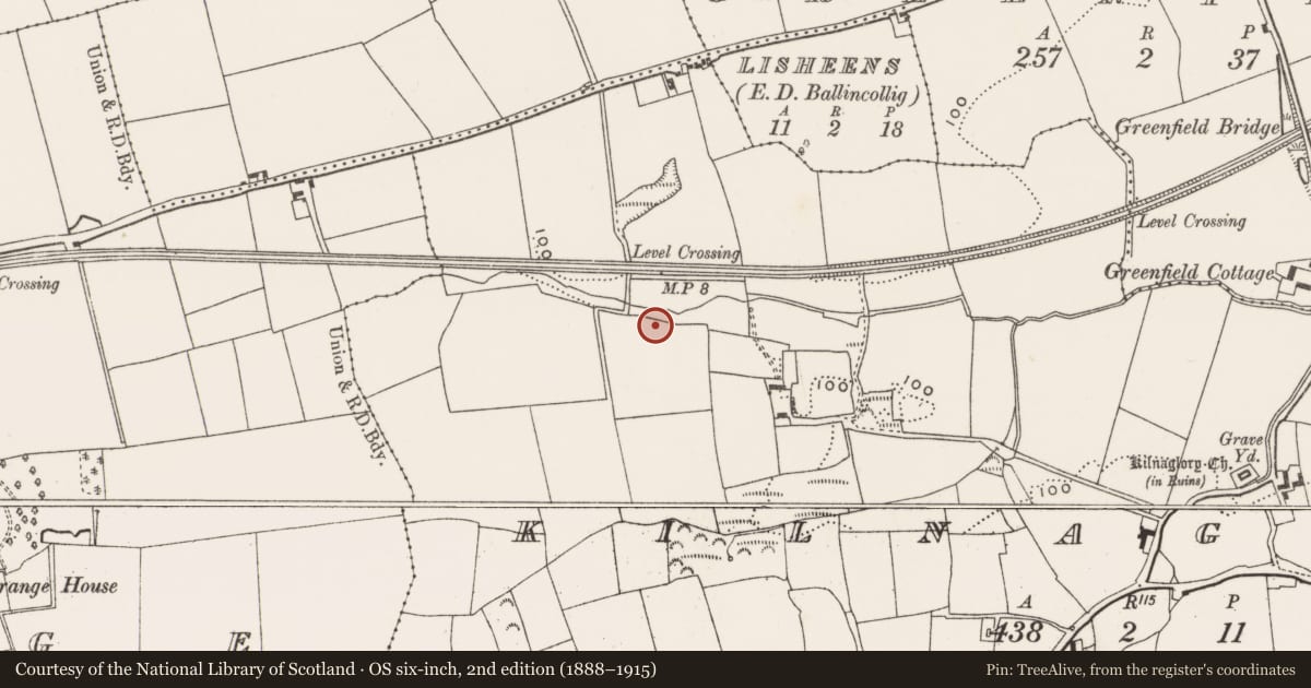 Ordnance Survey six-inch map, 2nd edition (1888–1915) covering the location of Fulacht fia, Kilnaglory, County Cork, with a pin at the register's coordinates
