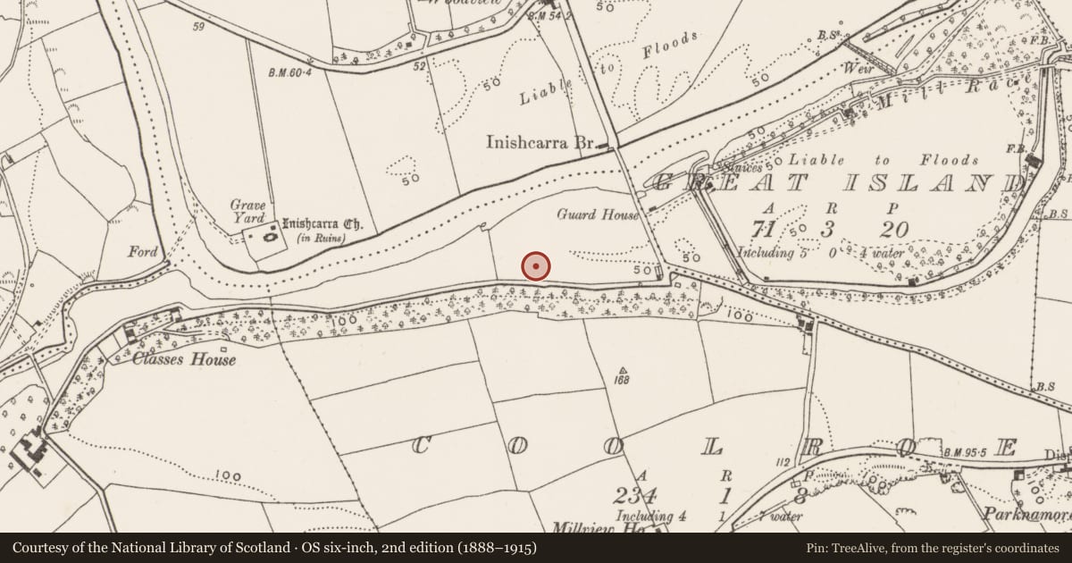 Ordnance Survey six-inch map, 2nd edition (1888–1915) covering the location of Fulacht fia, Coolroe, County Cork, with a pin at the register's coordinates