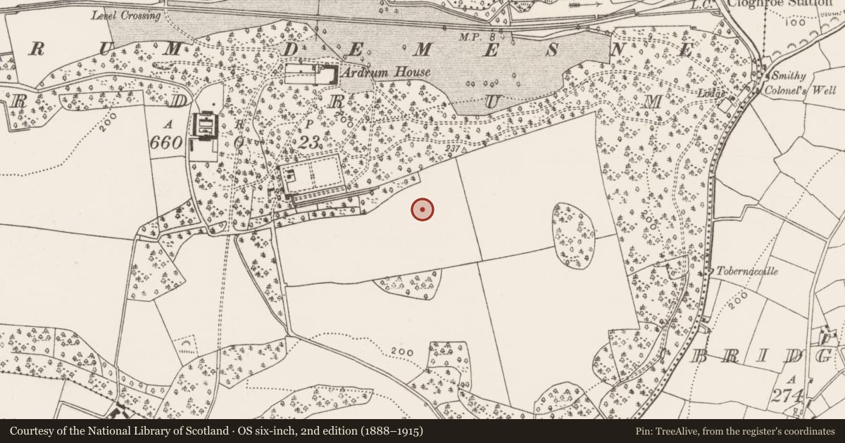 Ordnance Survey six-inch map, 2nd edition (1888–1915) covering the location of Fulacht fia, Ardrum, County Cork, with a pin at the register's coordinates