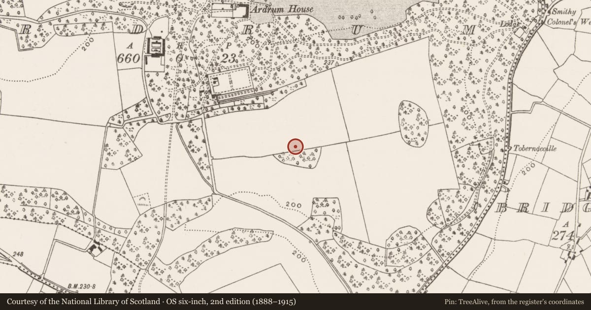 Ordnance Survey six-inch map, 2nd edition (1888–1915) covering the location of Fulacht fia, Ardrum, County Cork, with a pin at the register's coordinates