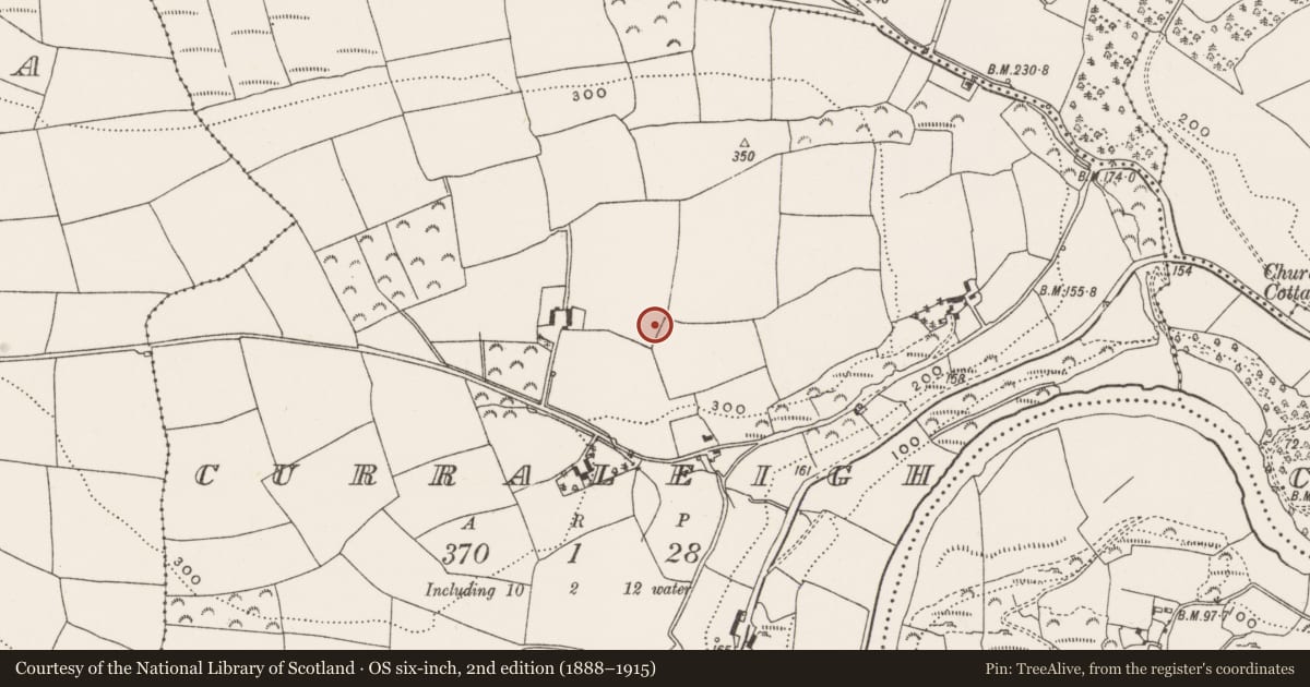 Ordnance Survey six-inch map, 2nd edition (1888–1915) covering the location of Ringfort - rath, Curraleigh, County Cork, with a pin at the register's coordinates