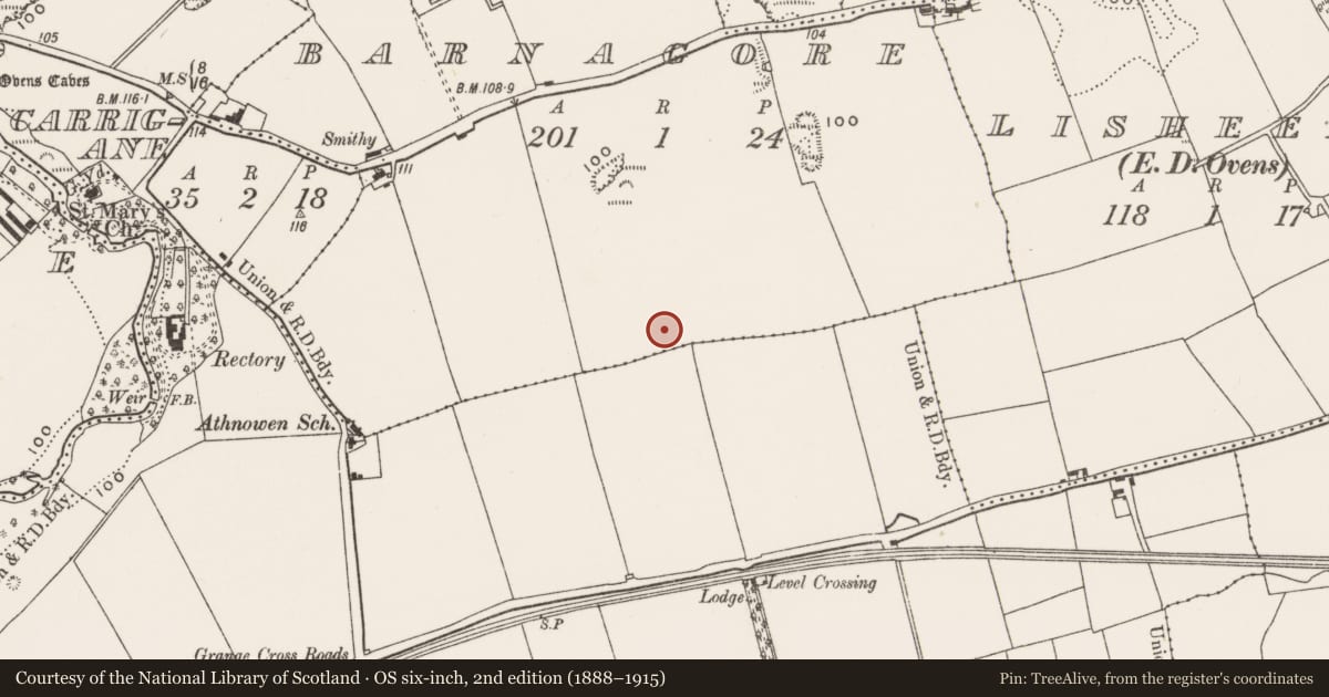 Ordnance Survey six-inch map, 2nd edition (1888–1915) covering the location of Enclosure, Barnagore, County Cork, with a pin at the register's coordinates