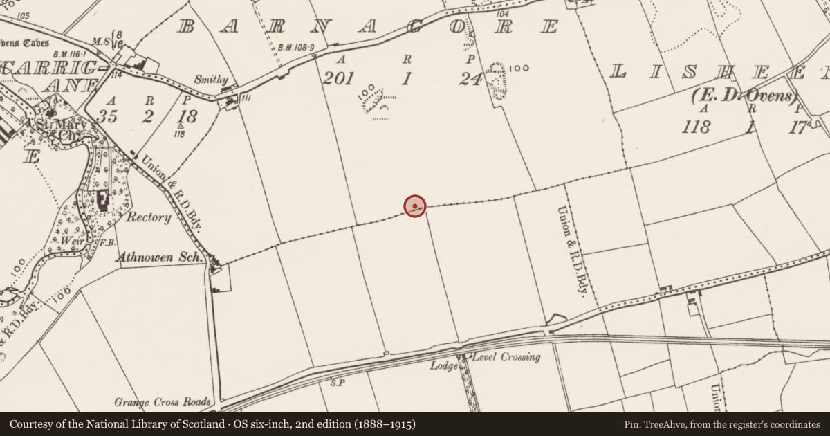 Ordnance Survey six-inch map, 2nd edition (1888–1915) covering the location of Enclosure, Barnagore, Grange, County Cork, with a pin at the register's coordinates