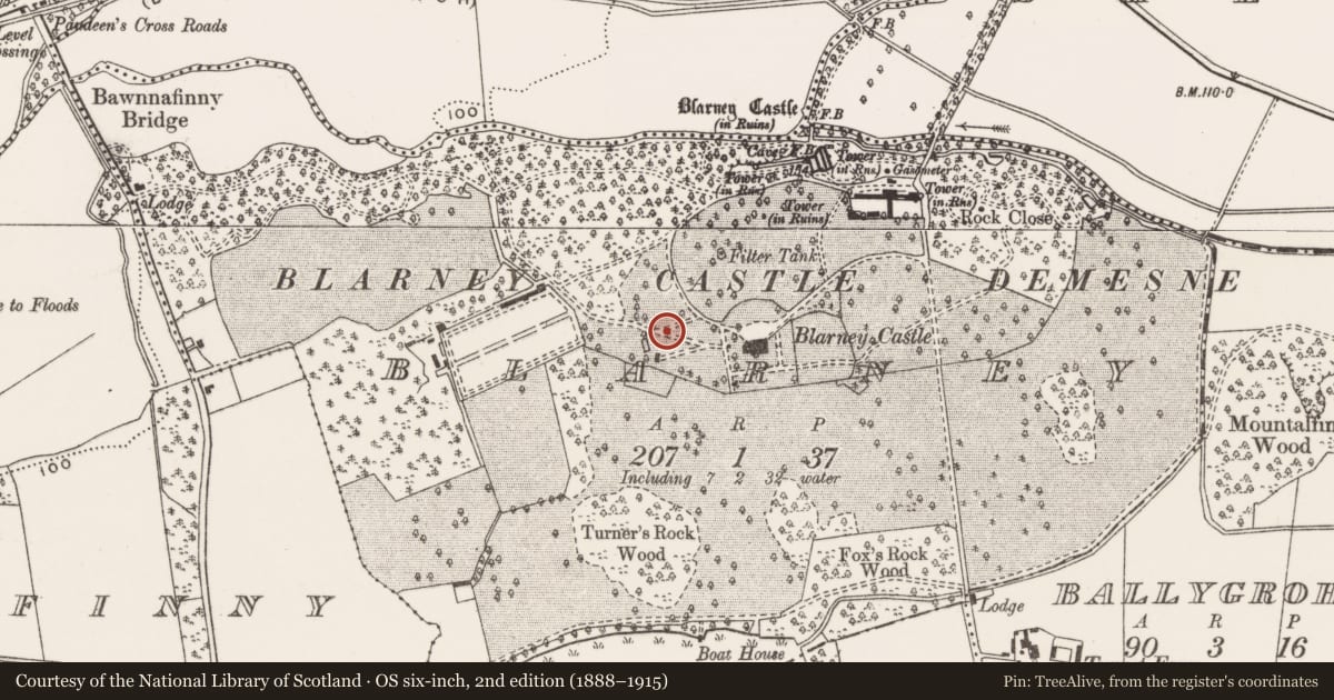 Ordnance Survey six-inch map, 2nd edition (1888–1915) covering the location of Kiln - lime, Blarney, County Cork, with a pin at the register's coordinates