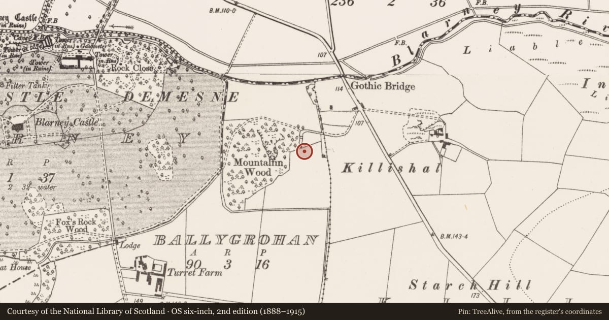 Ordnance Survey six-inch map, 2nd edition (1888–1915) covering the location of Kiln - lime, Ballygrohan, County Cork, with a pin at the register's coordinates