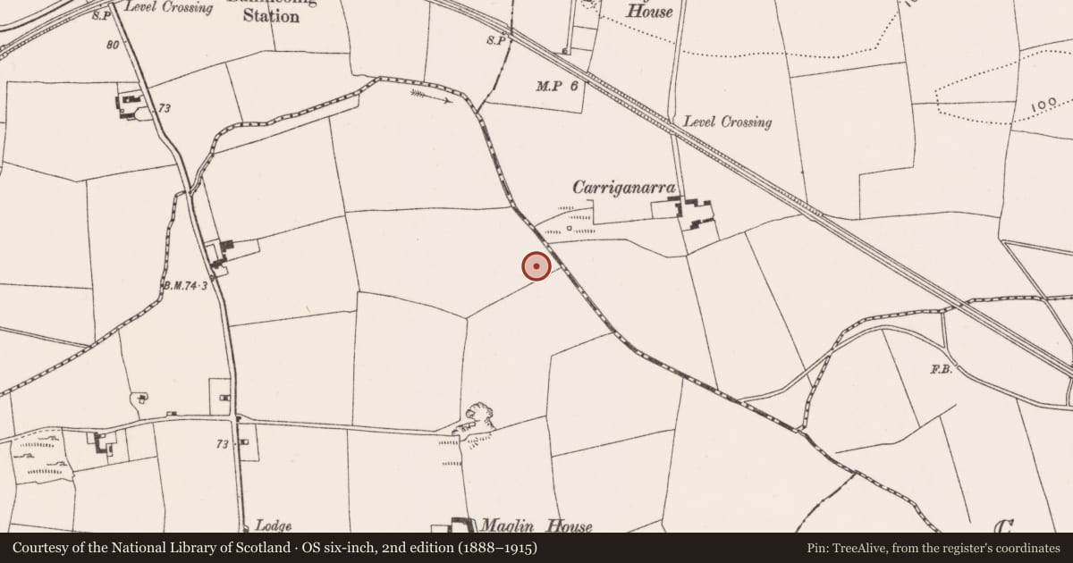 Ordnance Survey six-inch map, 2nd edition (1888–1915) covering the location of Fulacht fia, Maglin, County Cork, with a pin at the register's coordinates