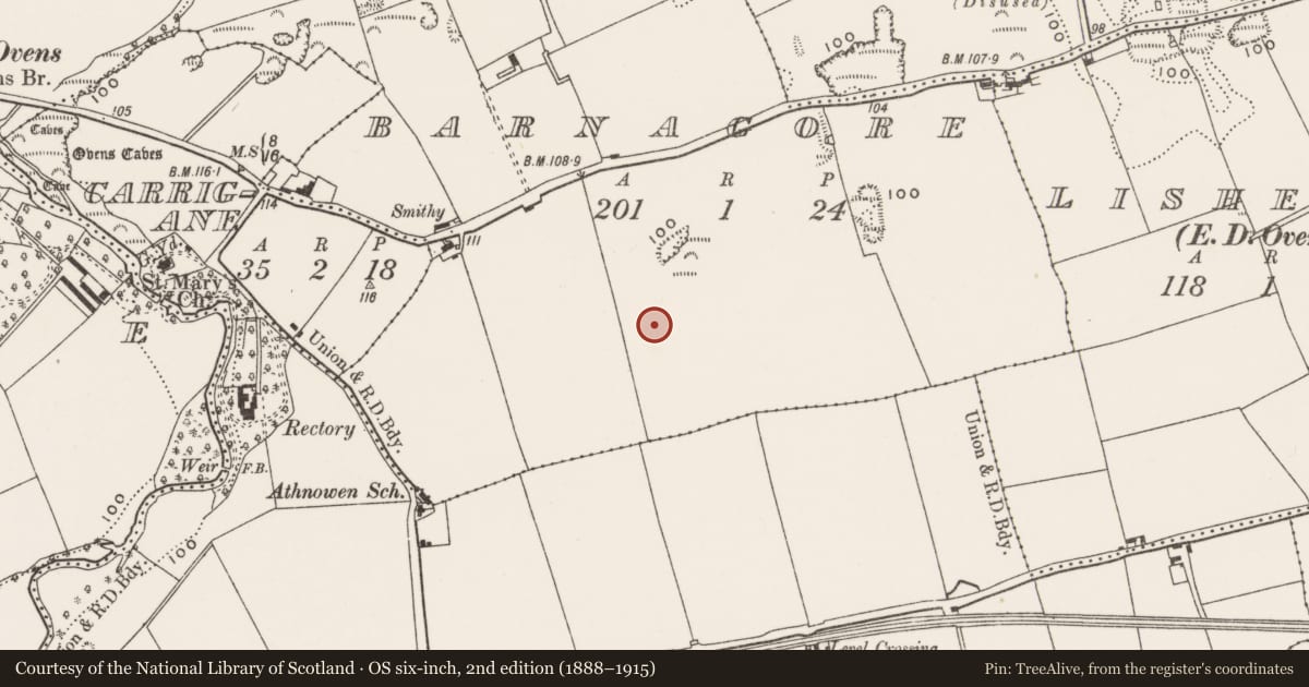 Ordnance Survey six-inch map, 2nd edition (1888–1915) covering the location of Enclosure, Barnagore, County Cork, with a pin at the register's coordinates