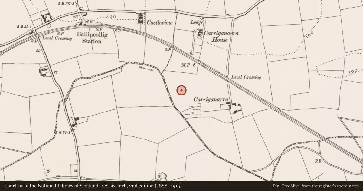 Ordnance Survey six-inch map, 2nd edition (1888–1915) covering the location of Standing stone, Carrigrohane, County Cork, with a pin at the register's coordinates