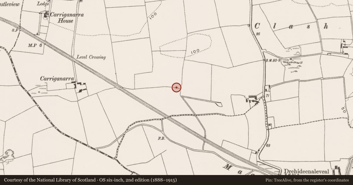 Ordnance Survey six-inch map, 2nd edition (1888–1915) covering the location of Fulacht fia, Carrigrohane, County Cork, with a pin at the register's coordinates