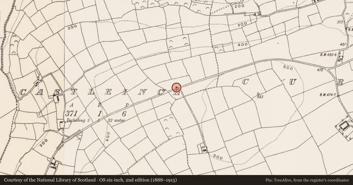 Ordnance Survey six-inch map, 2nd edition (1888–1915) covering the location of Rock scribing, Castleinch, County Cork, with a pin at the register's coordinates