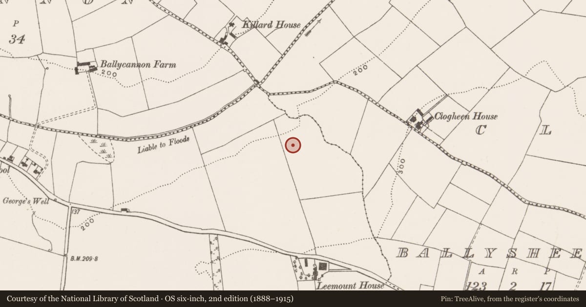 Ordnance Survey six-inch map, 2nd edition (1888–1915) covering the location of Burnt mound, Coolymurraghue, County Cork, with a pin at the register's coordinates