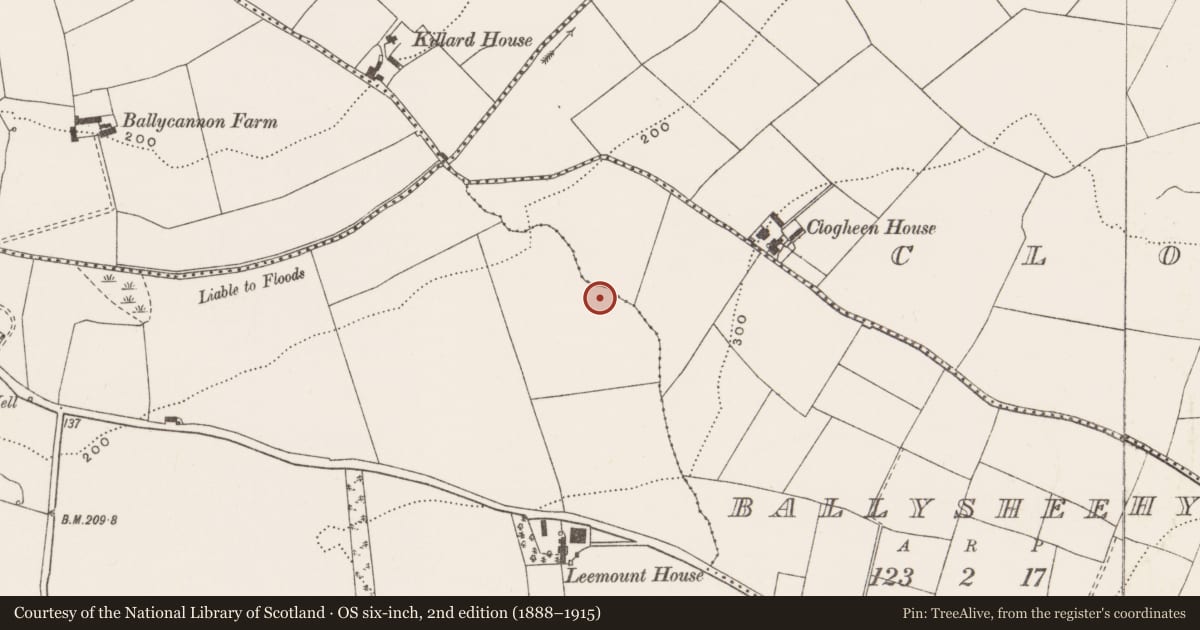 Ordnance Survey six-inch map, 2nd edition (1888–1915) covering the location of Burnt mound, Coolymurraghue, County Cork, with a pin at the register's coordinates