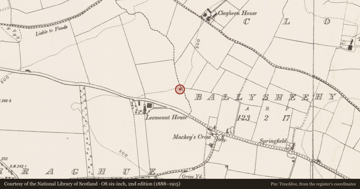 Ordnance Survey six-inch map, 2nd edition (1888–1915) covering the location of Burnt mound, Coolymurraghue, County Cork, with a pin at the register's coordinates