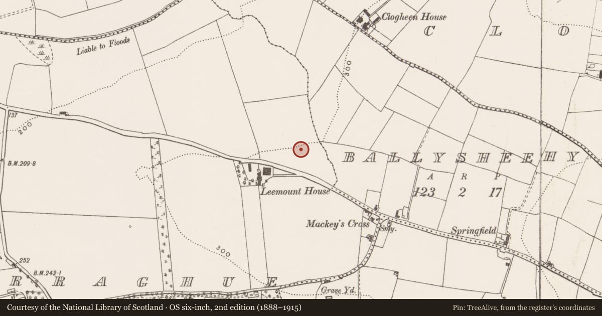 Ordnance Survey six-inch map, 2nd edition (1888–1915) covering the location of Burnt mound, Coolymurraghue, County Cork, with a pin at the register's coordinates