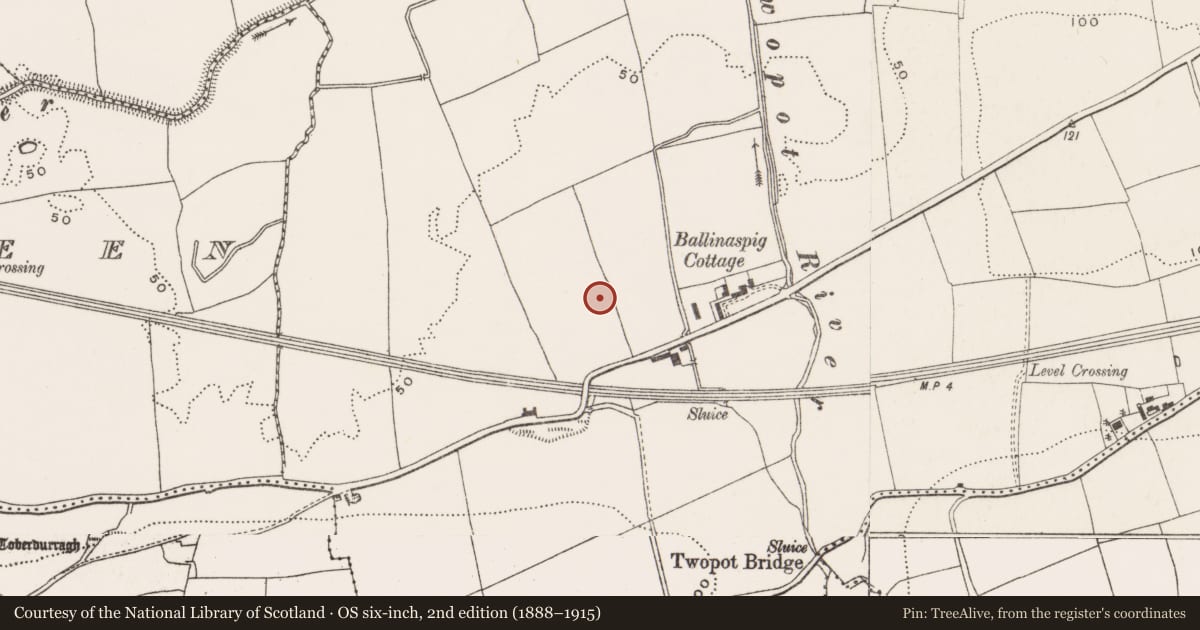 Ordnance Survey six-inch map, 2nd edition (1888–1915) covering the location of Fulacht fia, Ballinaspig More, County Cork, with a pin at the register's coordinates