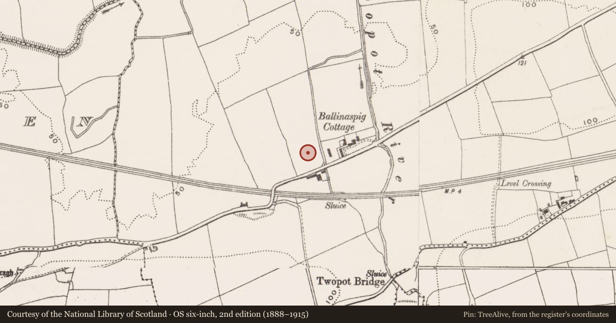 Ordnance Survey six-inch map, 2nd edition (1888–1915) covering the location of Fulacht fia, Ballinaspig More, County Cork, with a pin at the register's coordinates