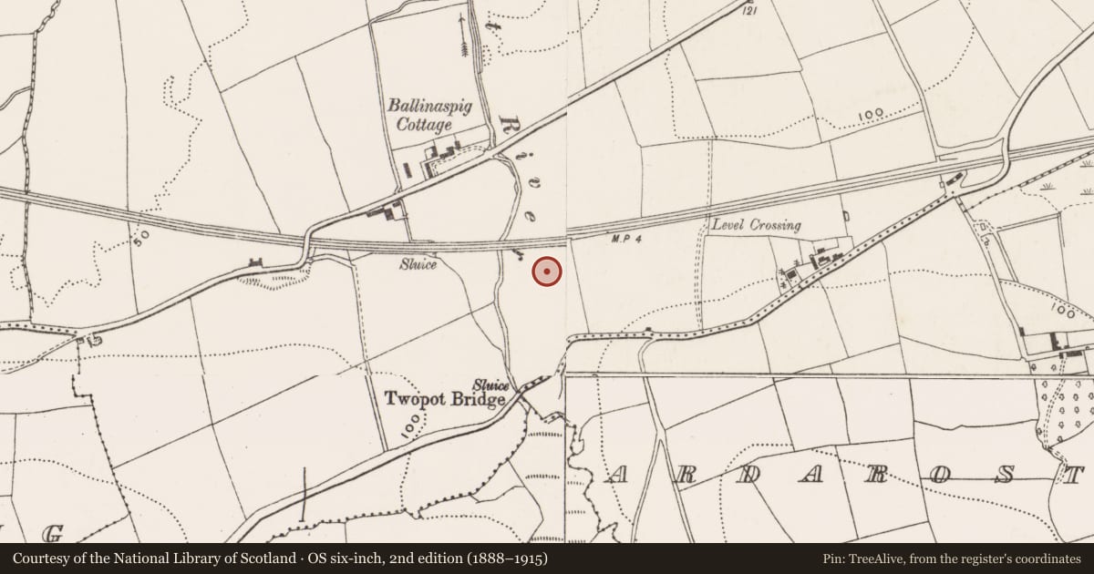 Ordnance Survey six-inch map, 2nd edition (1888–1915) covering the location of Pit-burial, Ballinaspig More, County Cork, with a pin at the register's coordinates