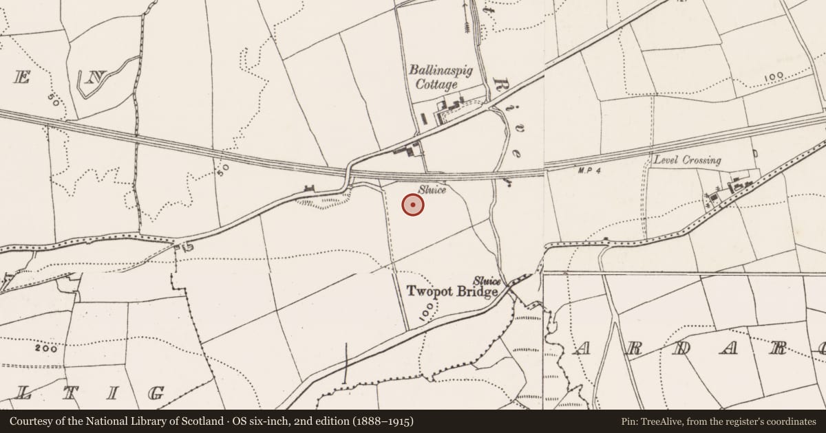 Ordnance Survey six-inch map, 2nd edition (1888–1915) covering the location of Building, Ballinaspig More, County Cork, with a pin at the register's coordinates