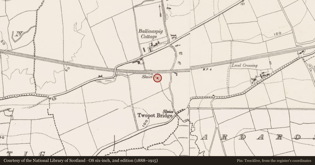 Ordnance Survey six-inch map, 2nd edition (1888–1915) covering the location of Structure, Ballinaspig More, County Cork, with a pin at the register's coordinates