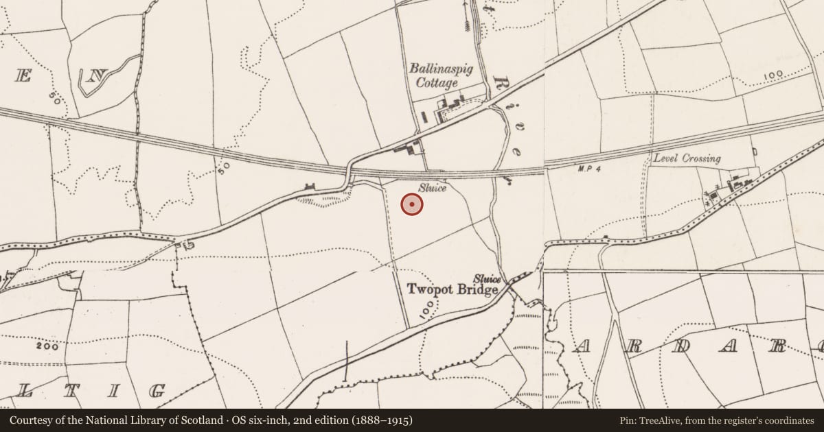 Ordnance Survey six-inch map, 2nd edition (1888–1915) covering the location of Excavation - miscellaneous, Ballinaspig More, County Cork, with a pin at the register's coordinates