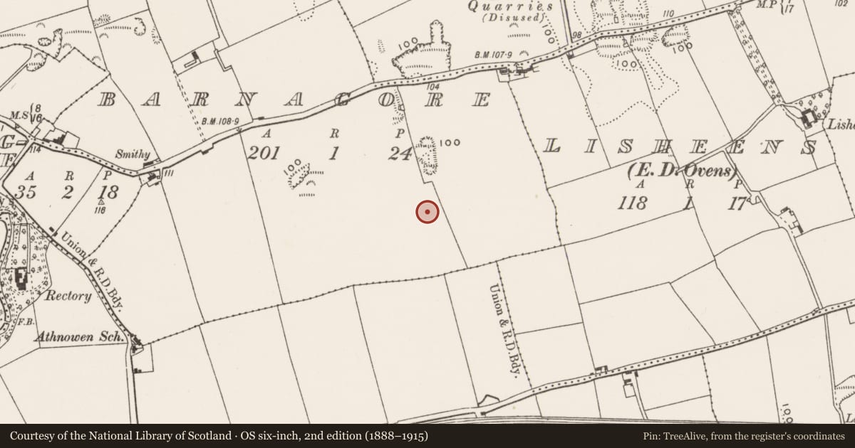 Ordnance Survey six-inch map, 2nd edition (1888–1915) covering the location of Excavation - miscellaneous, Barnagore, County Cork, with a pin at the register's coordinates