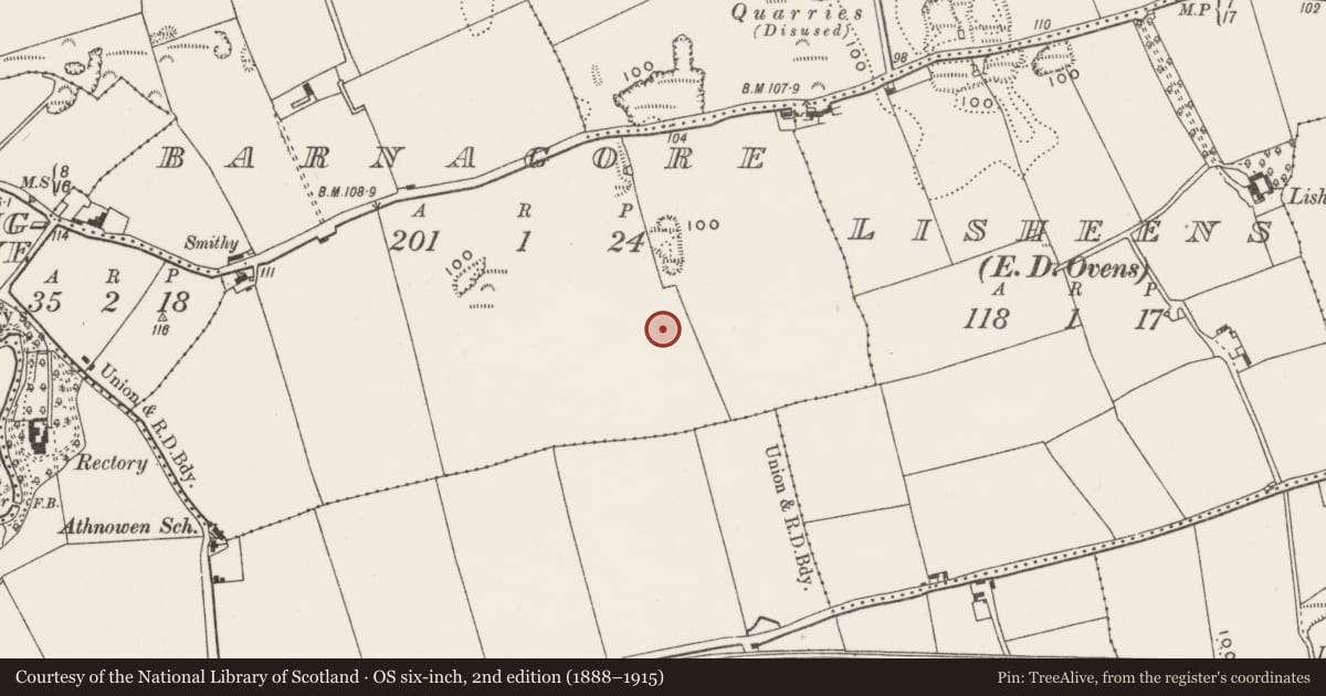 Ordnance Survey six-inch map, 2nd edition (1888–1915) covering the location of Excavation - miscellaneous, Barnagore, County Cork, with a pin at the register's coordinates