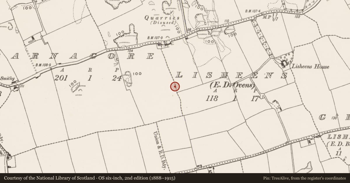 Ordnance Survey six-inch map, 2nd edition (1888–1915) covering the location of House - Neolithic, Barnagore, County Cork, with a pin at the register's coordinates