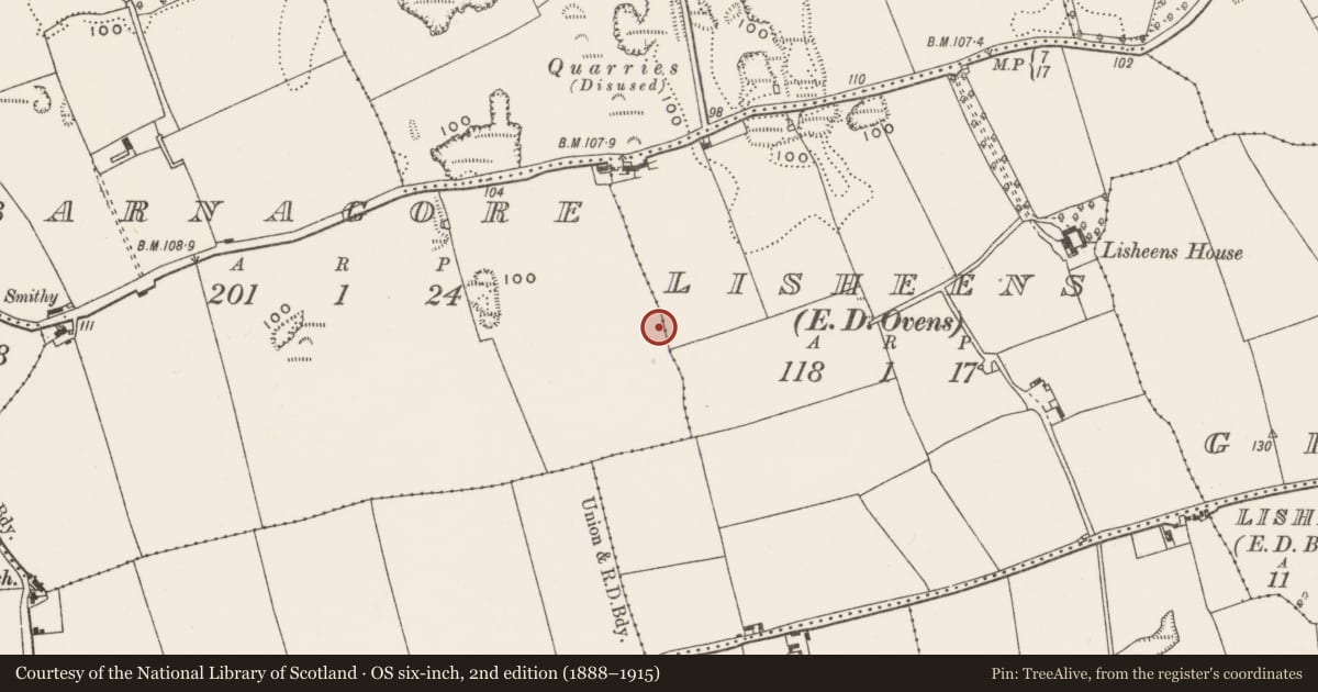 Ordnance Survey six-inch map, 2nd edition (1888–1915) covering the location of Excavation - miscellaneous, Barnagore, County Cork, with a pin at the register's coordinates