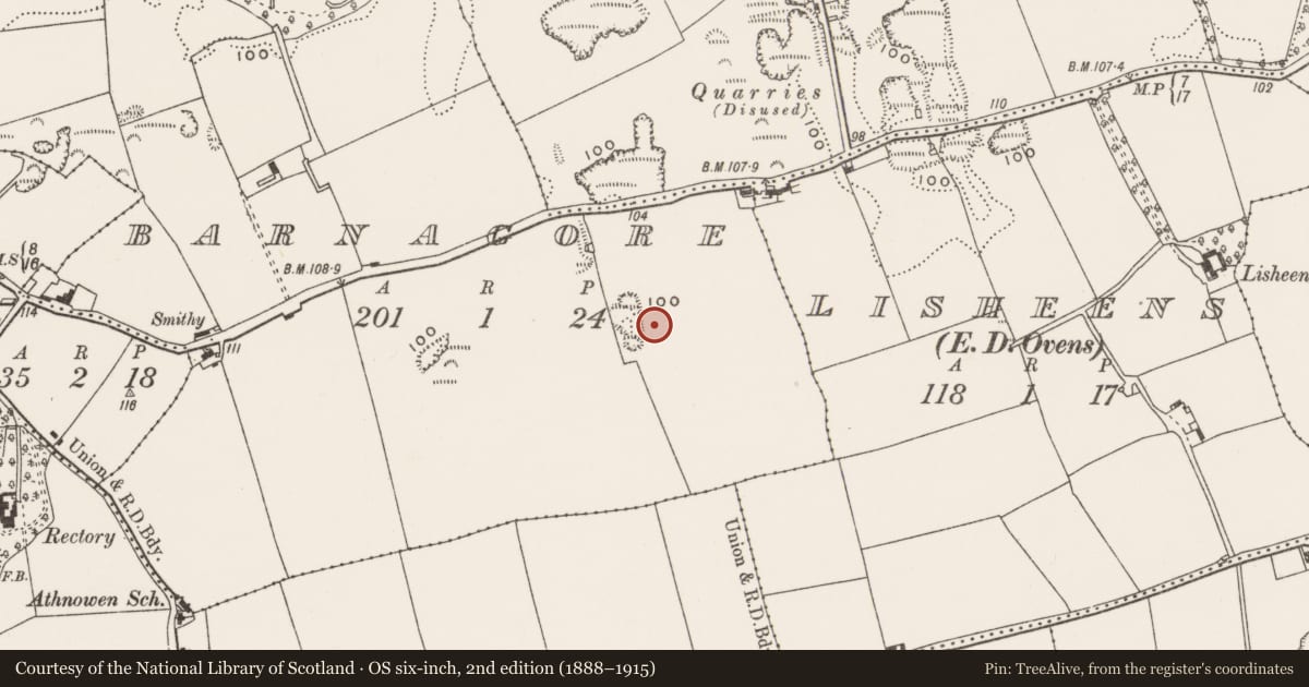 Ordnance Survey six-inch map, 2nd edition (1888–1915) covering the location of Pit-burial, Barnagore, County Cork, with a pin at the register's coordinates