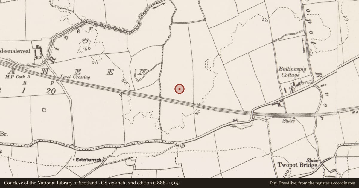 Ordnance Survey six-inch map, 2nd edition (1888–1915) covering the location of Burnt mound, Ballinaspig More, County Cork, with a pin at the register's coordinates