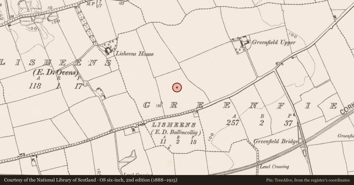Ordnance Survey six-inch map, 2nd edition (1888–1915) covering the location of Enclosure, Greenfield, County Cork, with a pin at the register's coordinates
