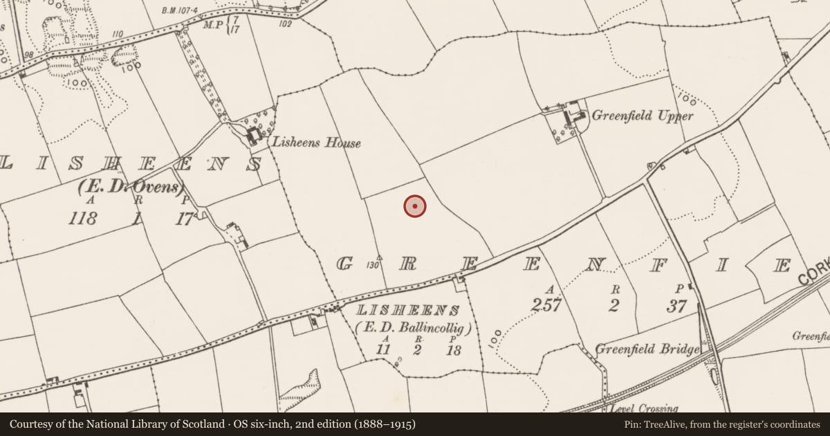 Ordnance Survey six-inch map, 2nd edition (1888–1915) covering the location of Hearth, Greenfield, County Cork, with a pin at the register's coordinates